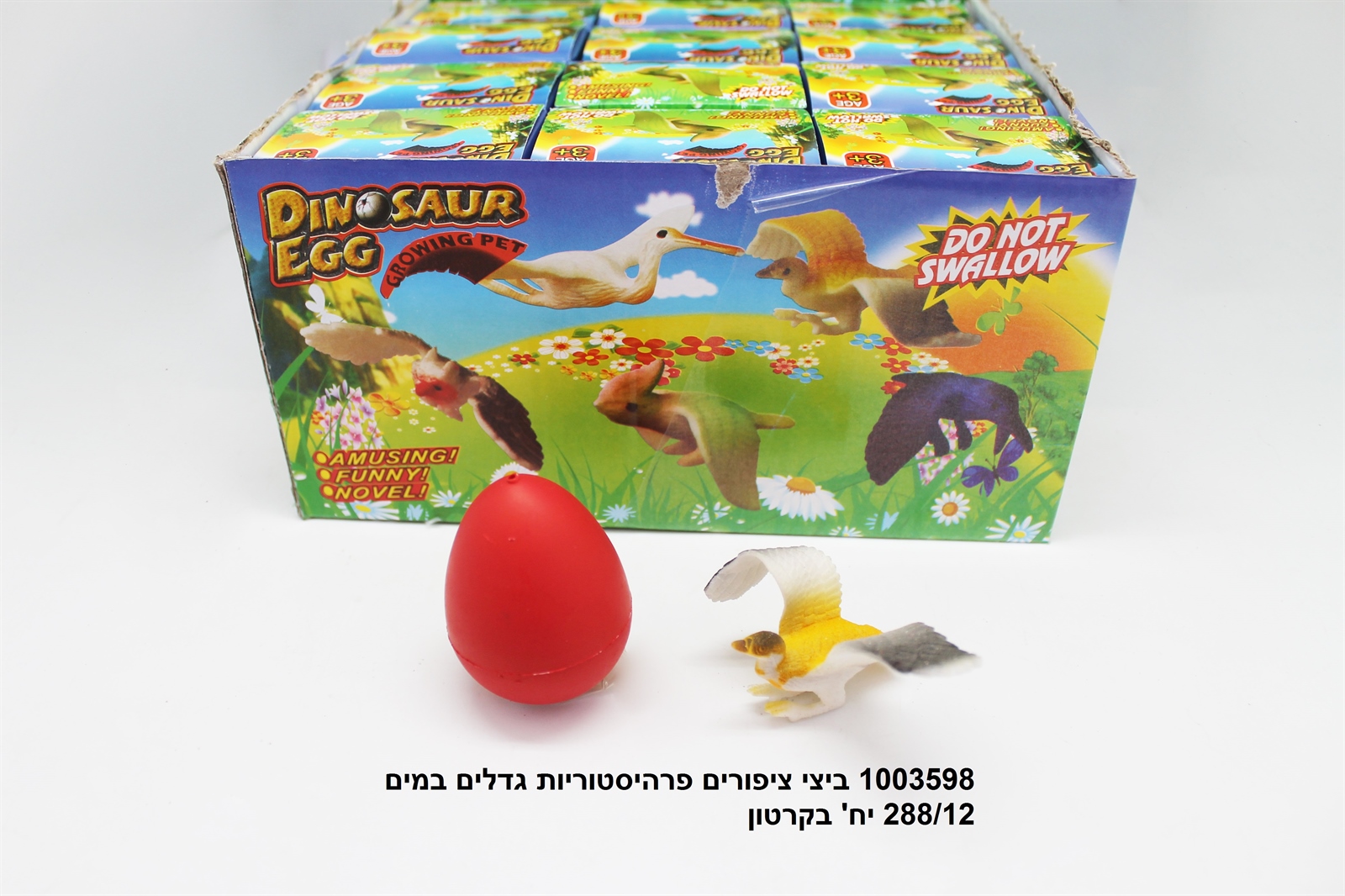 ביצי ציפורים פרהיסטוריות גדלים במים בקופסא (288/12)