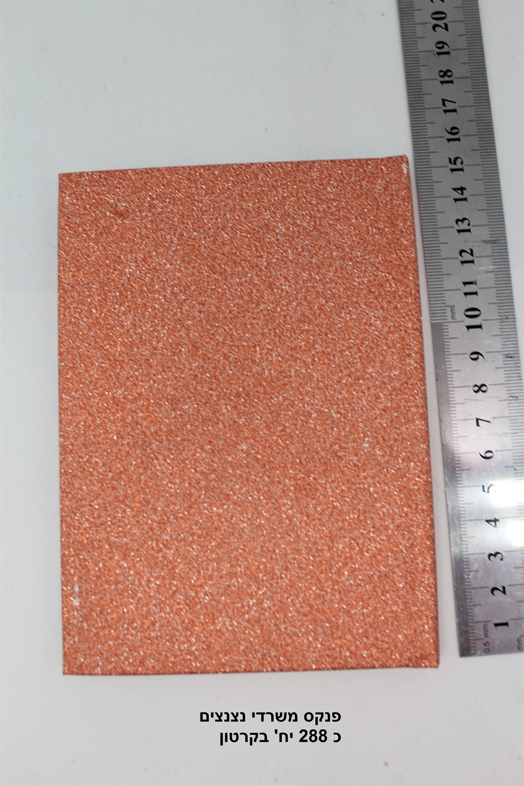 פנקס משרדי נצנצים