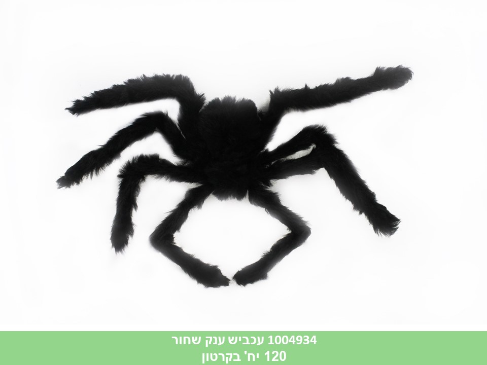 עכביש ענק שחור (ללא ברקוד) (120)