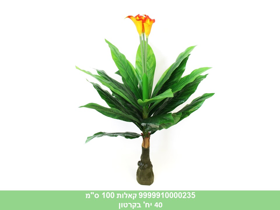 קאלות 100 ס"מ