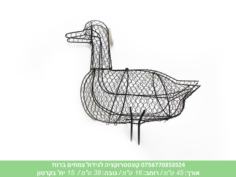 קונסטרוקציה לגידול צמחים ברווז