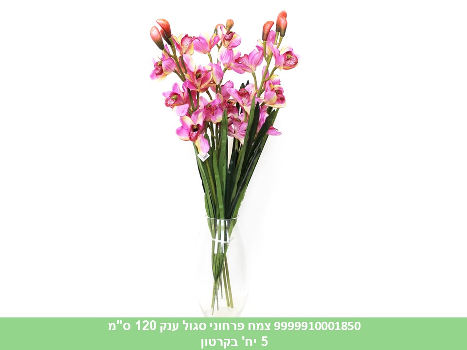 צמח פרחוני סגול ענק 120 ס"מ
