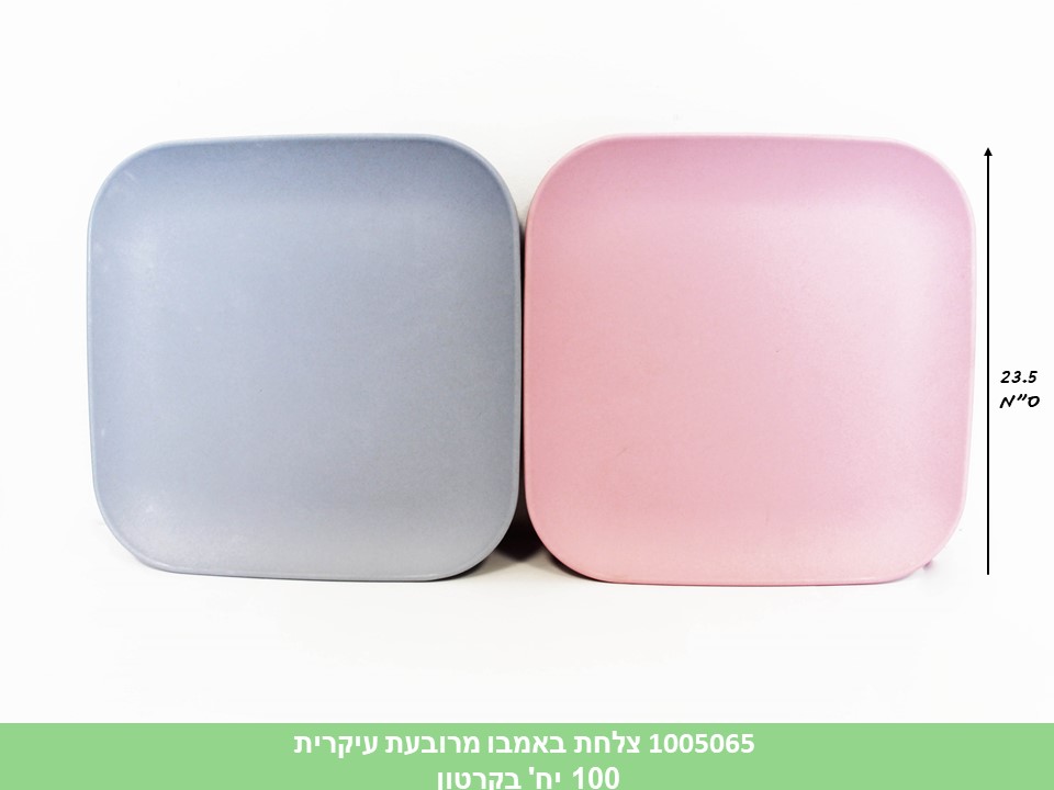 צלחת באמבו מרובעת עיקרית