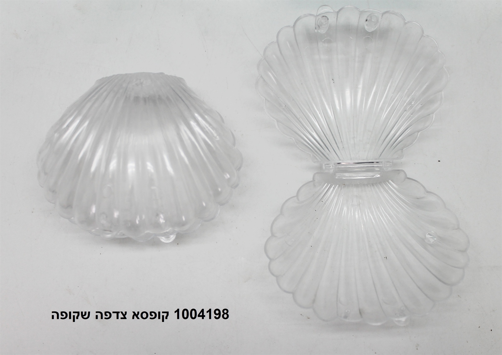קופסא צדפה שקופה
