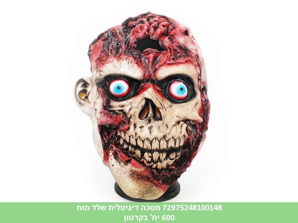 מסכה דיגיטלית שלד מוח (24)