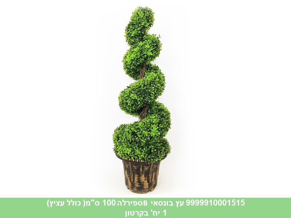 עץ בונסאי B ספירלה 100 ס"מ