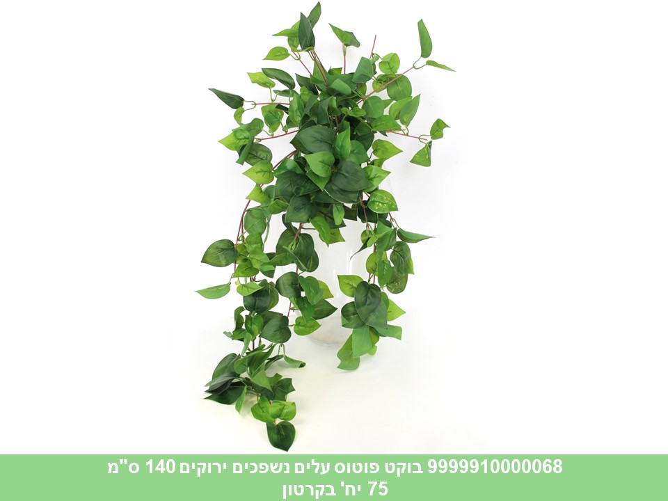בוקט פוטוס עלים נשפכים ירוקים 140 ס"מ