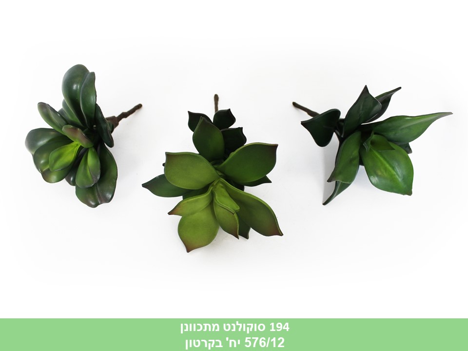 סוקולנט מתכוונן 15 ס"מ (576/12)