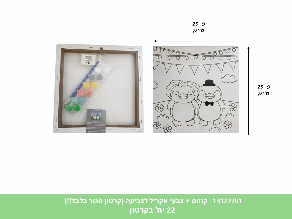 קנווס + צבעי אקריל לצביעה (קרטון סגור בלבד!!) (22)