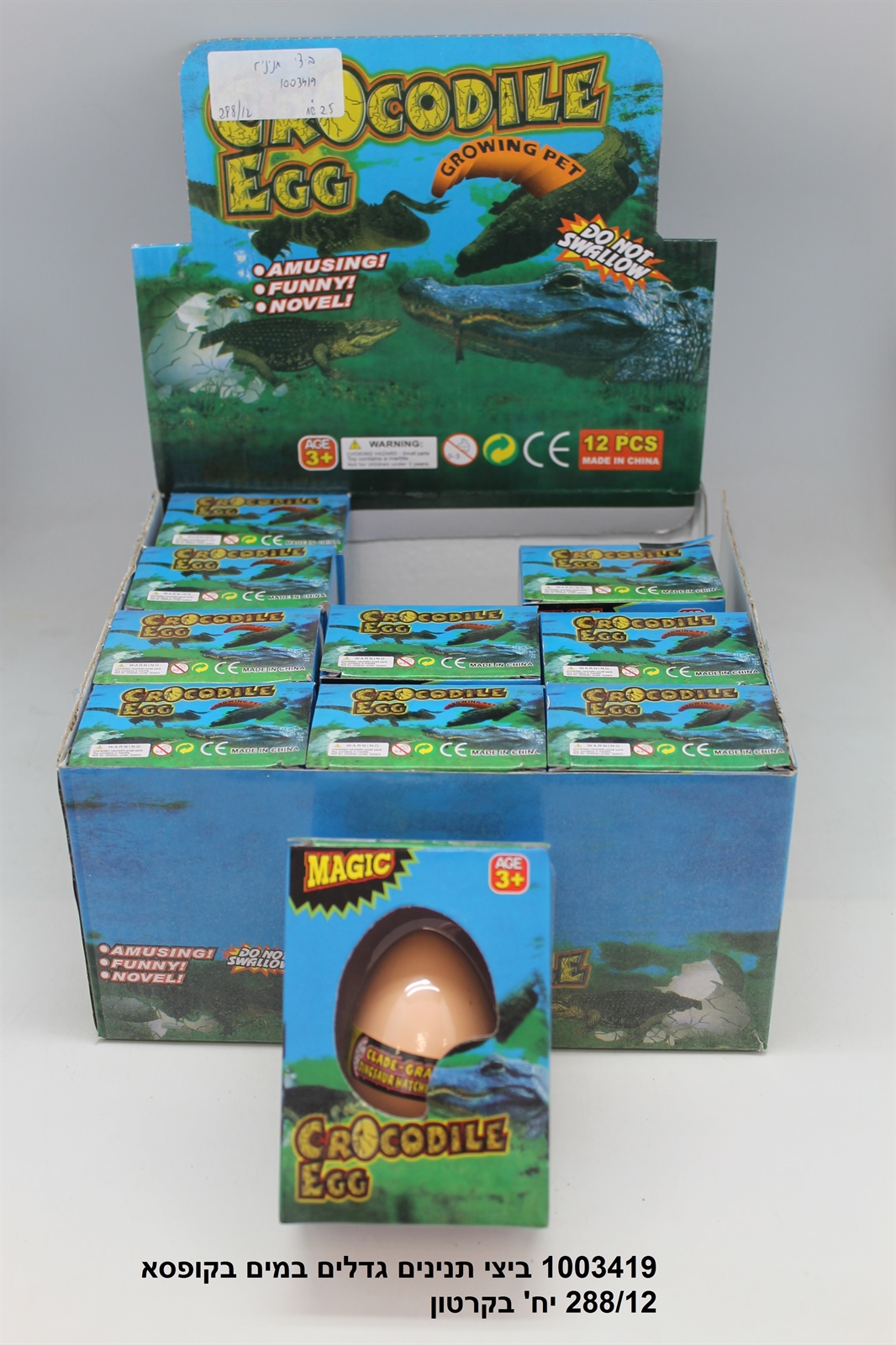 ביצי תנינים גדלים במים בקופסא (288/12)