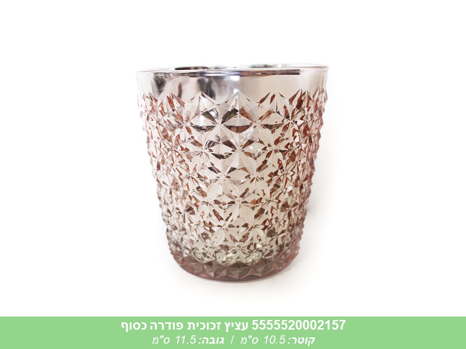 עציץ זכוכית פודרה כסוף