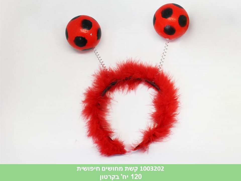 קשת מחושים חיפושית