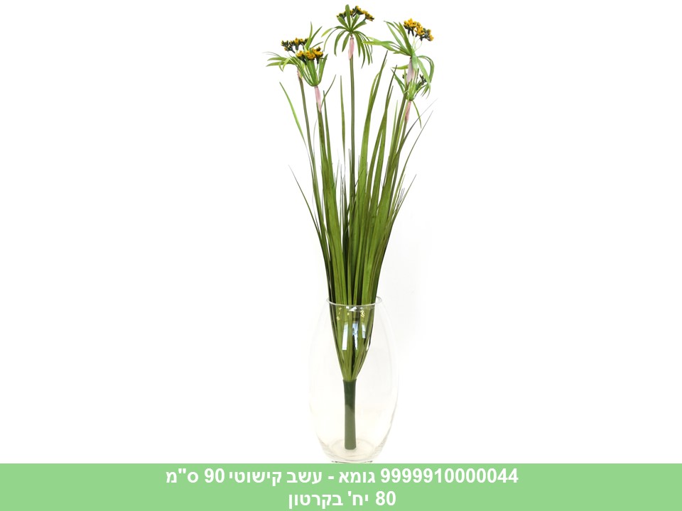 גומא - עשב קישוטי 90 ס"מ (80)