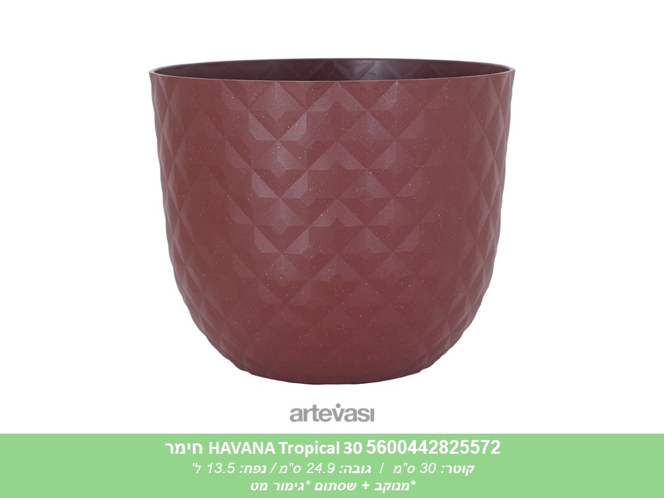 עציץ HAVANA TROPICAL 30 חימר