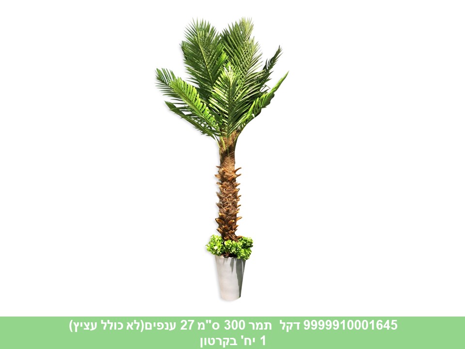 עץ דקל תמר 300 ס"מ 27 ענפים