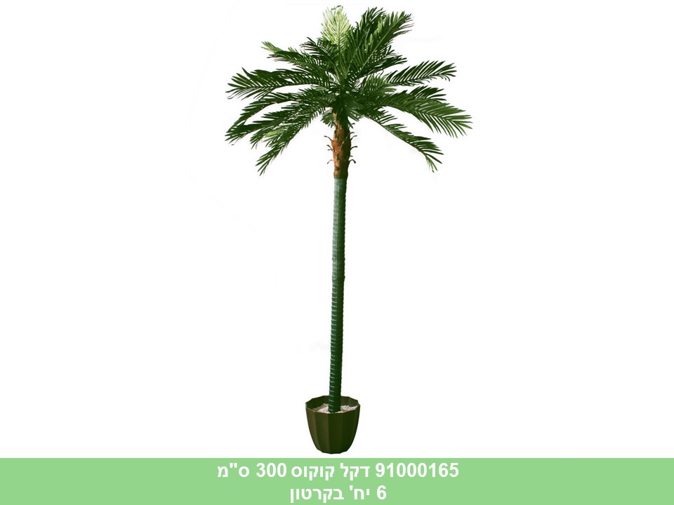 עץ דקל קוקוס 300 ס"מ *****