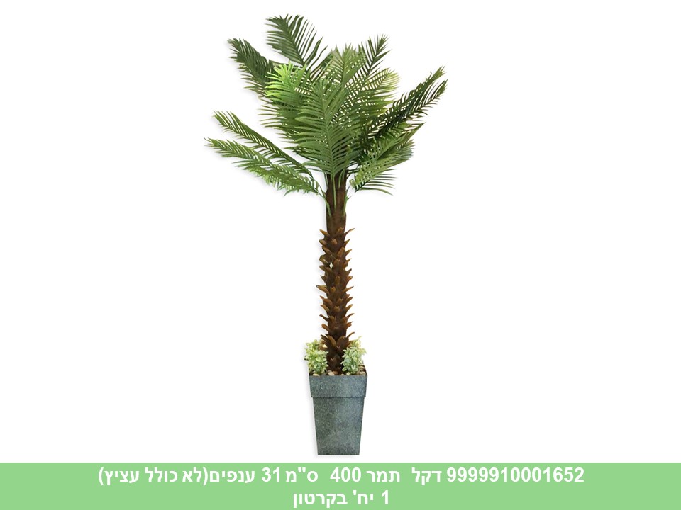 עץ דקל תמר 400 ס"מ 31 ענפים