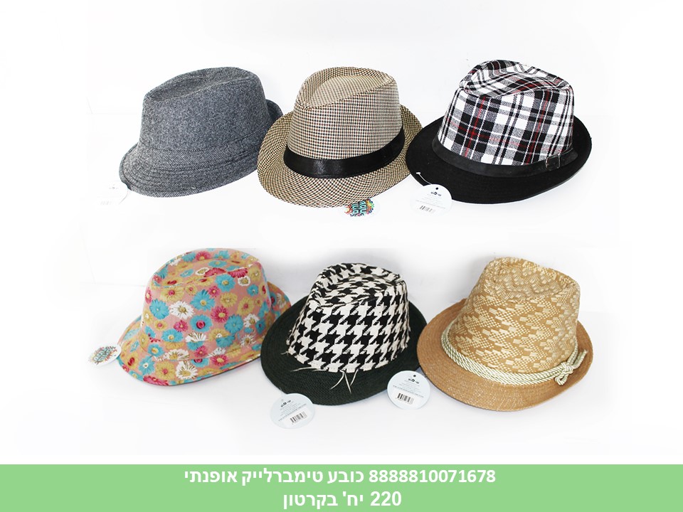 כובע אופנתי טימברלייק מעורב (220)