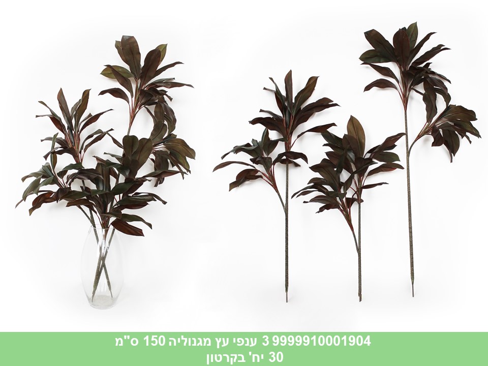 שלישיית ענפי עץ מגנוליה 150 ס"מ (30)