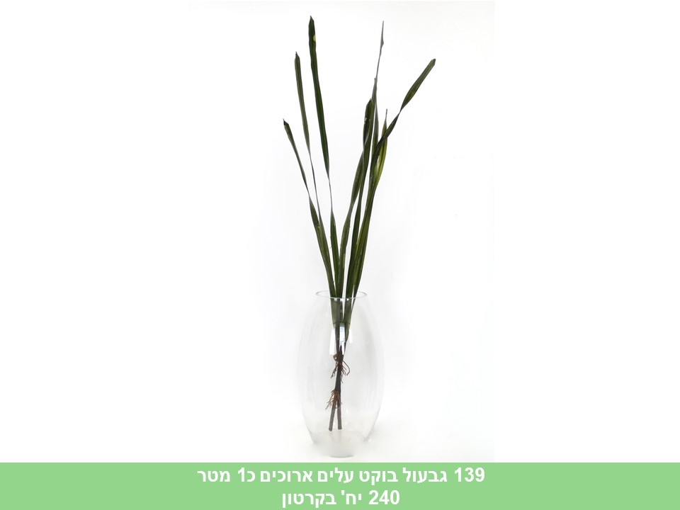 גבעול בוקט עלים ארוכים כ 1 מטר (240)
