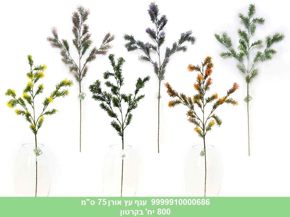 ענף עץ אורן 75 ס"מ