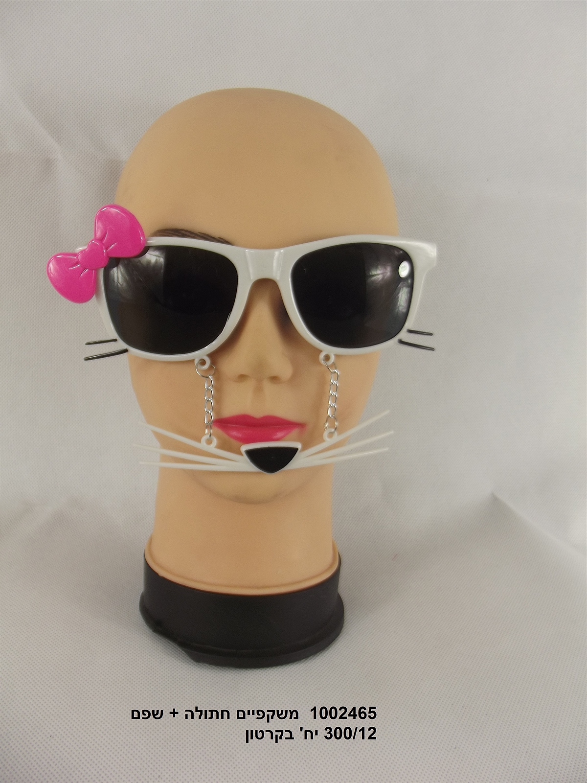 משקפי חתולה + שפם בשקית (300/12)