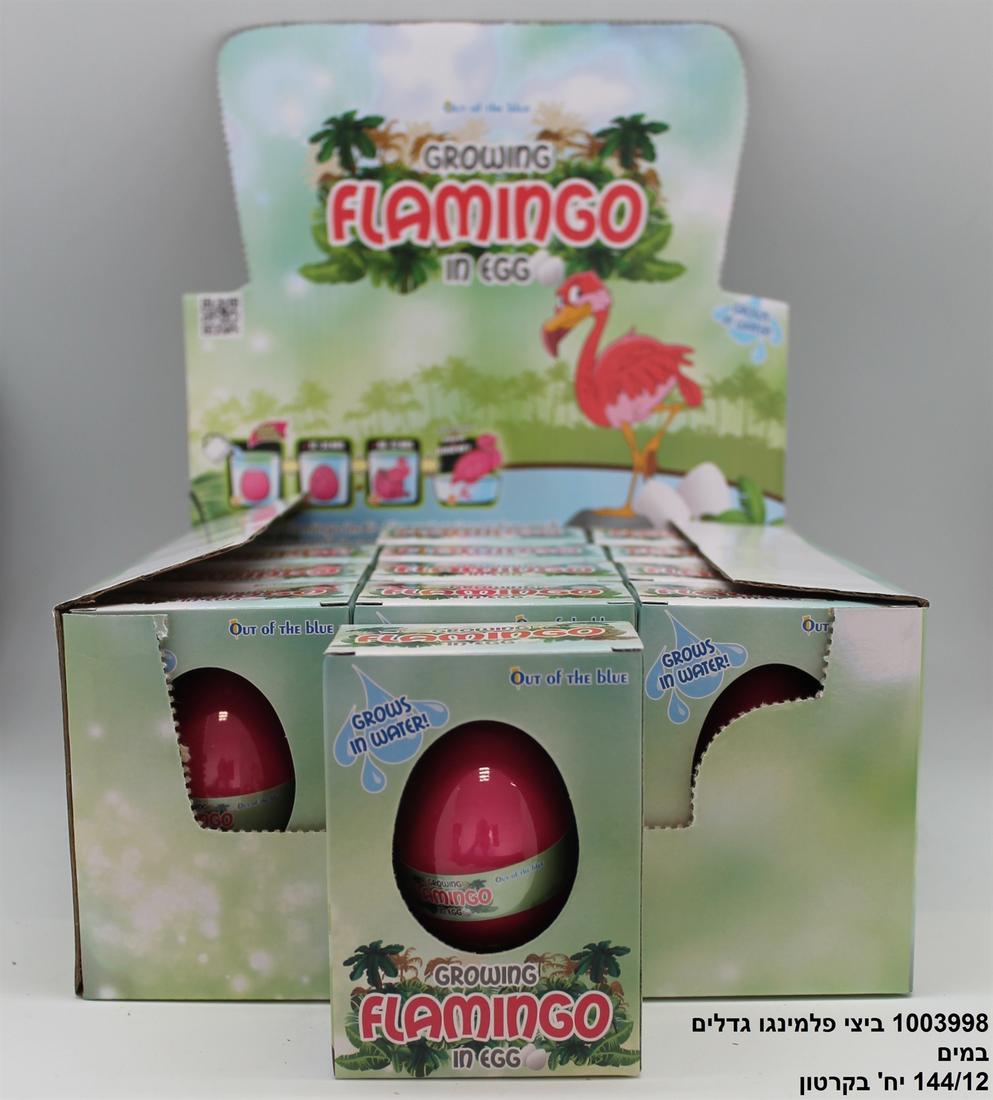 ביצי פלמינגו גדלים במים בקופסא