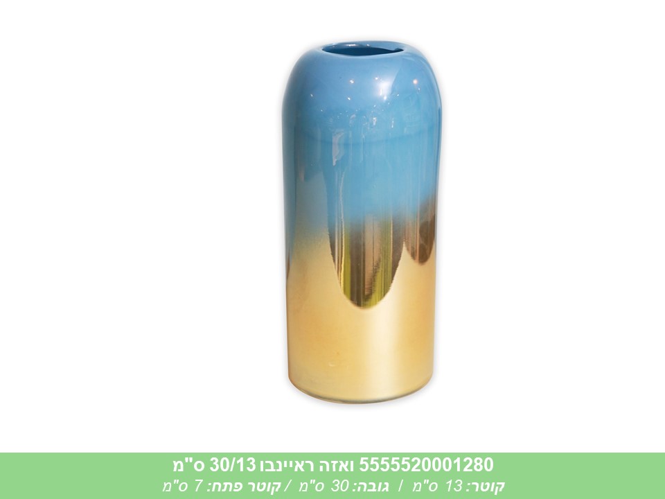 ואזה ראיינבו 30/13 ס"מ