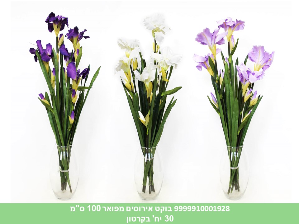 בוקט אירוסים מפואר 100 ס"מ (30)