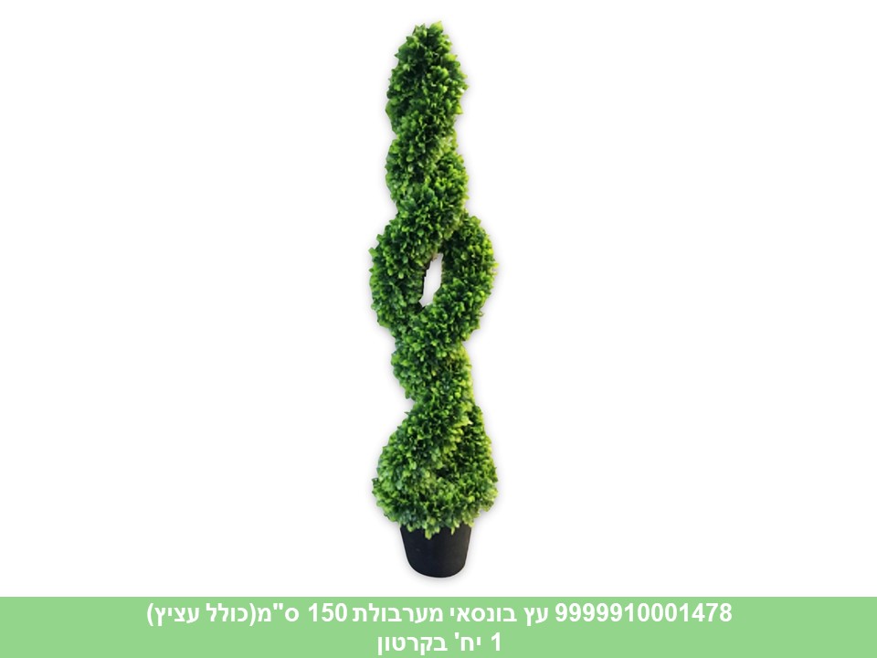 עץ בונסאי מערבולת 150 ס"מ