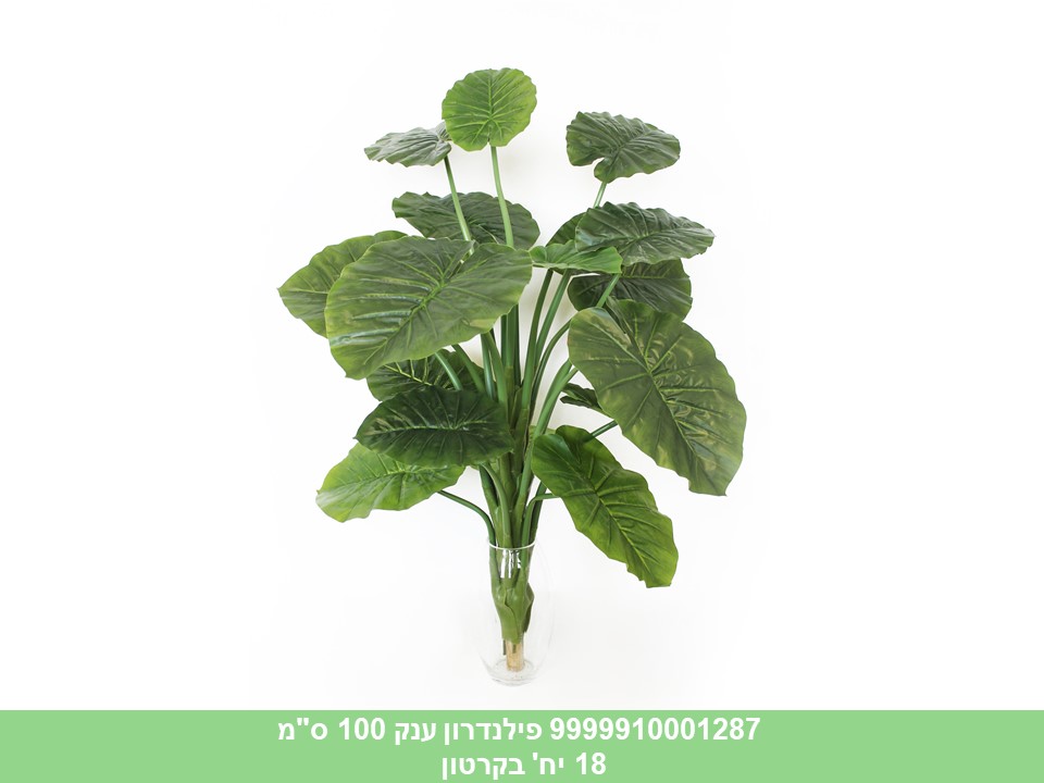 פילנדרון ענק 100 ס"מ