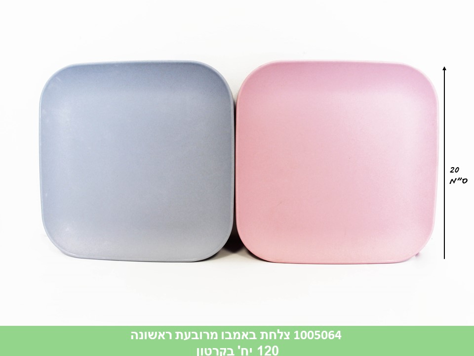 צלחת באמבו מרובעת ראשונה