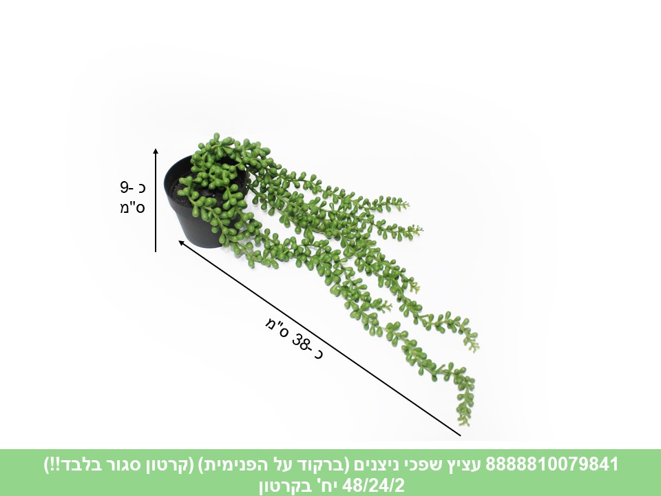 עציץ שפכי ניצנים (ברקוד על הפנימית) (קרטון סגור בלבד!!) (48/24/2)