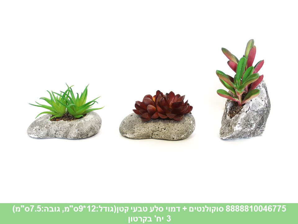 סוקולנט + דמוי סלע טבעי קטן