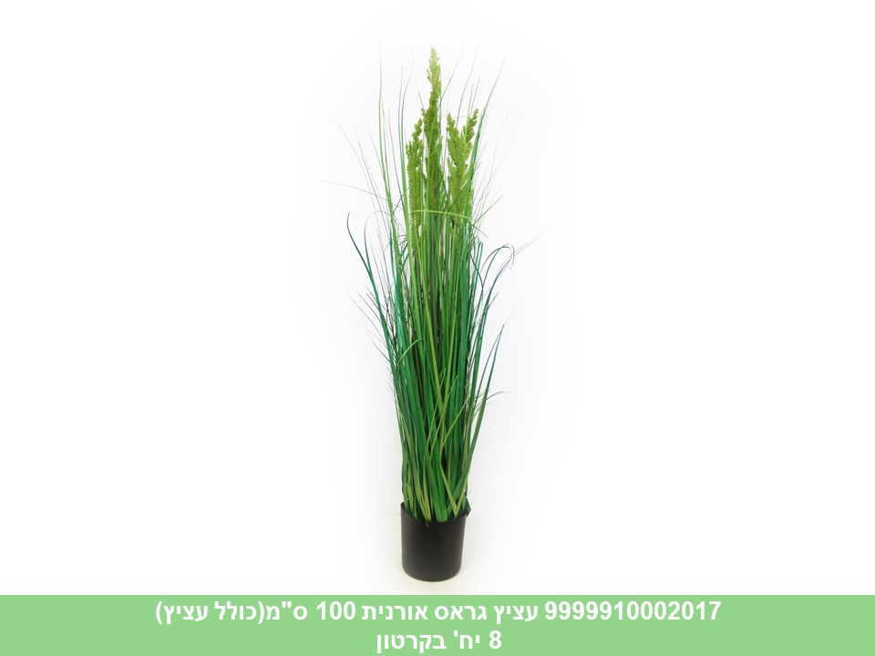 עציץ גראס אורנית 100 ס"מ