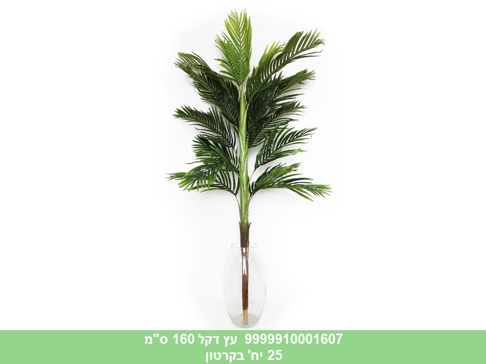 עץ דקל 160 ס"מ