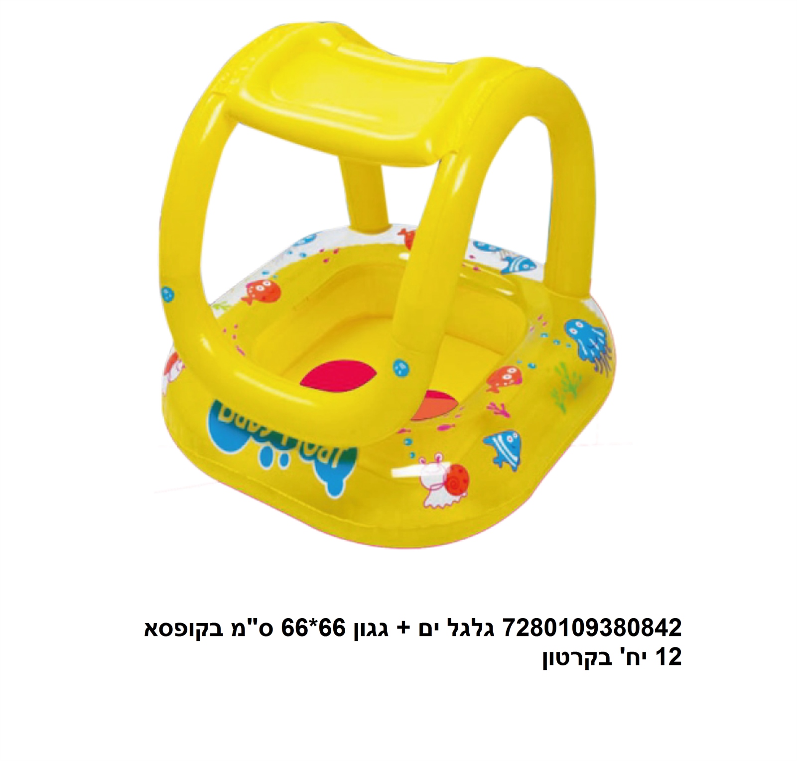 גלגל ים + גגון 66*66 ס"מ בקופסא