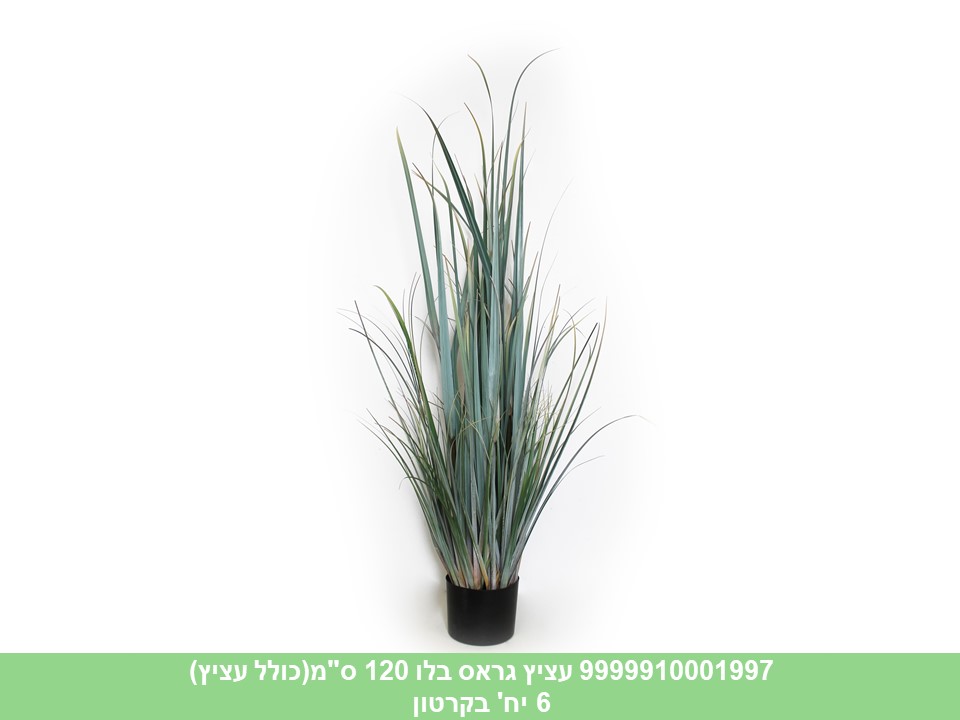 עציץ גראס בלו 120 ס"מ (6)