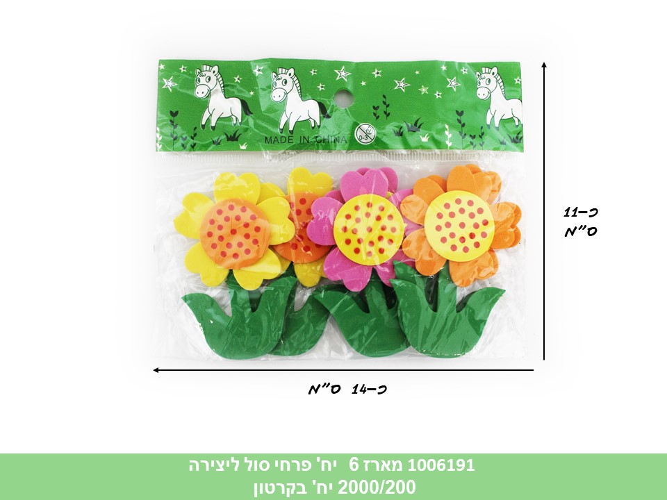 מארז 6 יחידות פרחי סול ליצירה (2000/200)