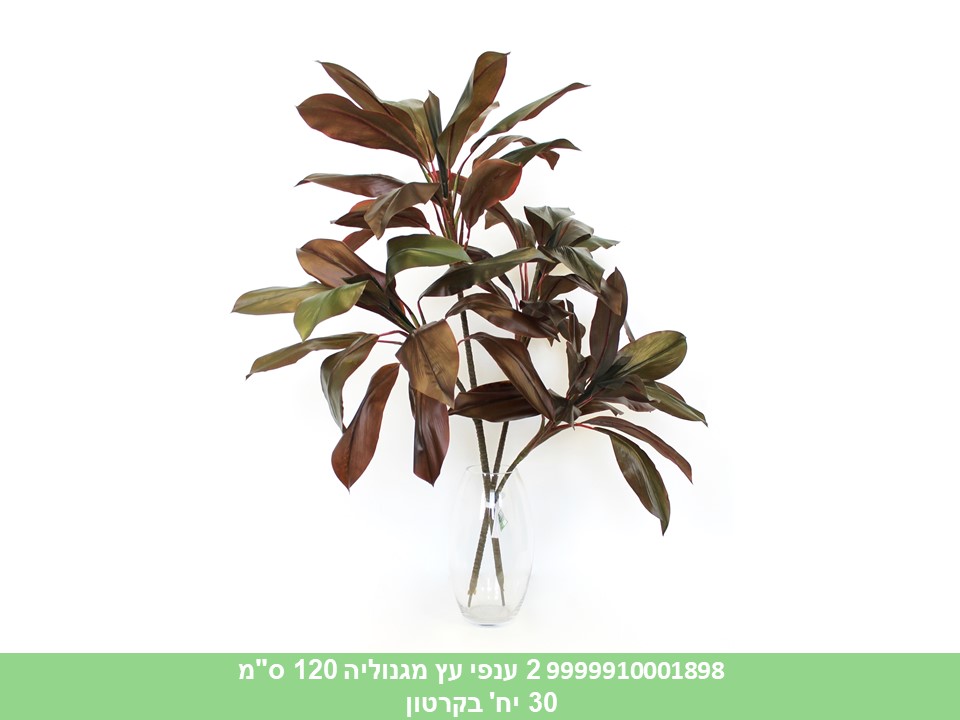 זוג ענפי עץ מגנוליה 120 ס"מ (30)