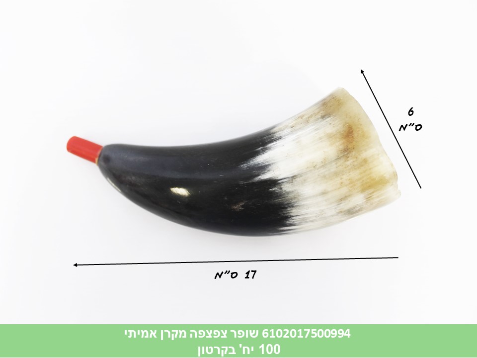 שופר צפצפה מקרן אמיתי