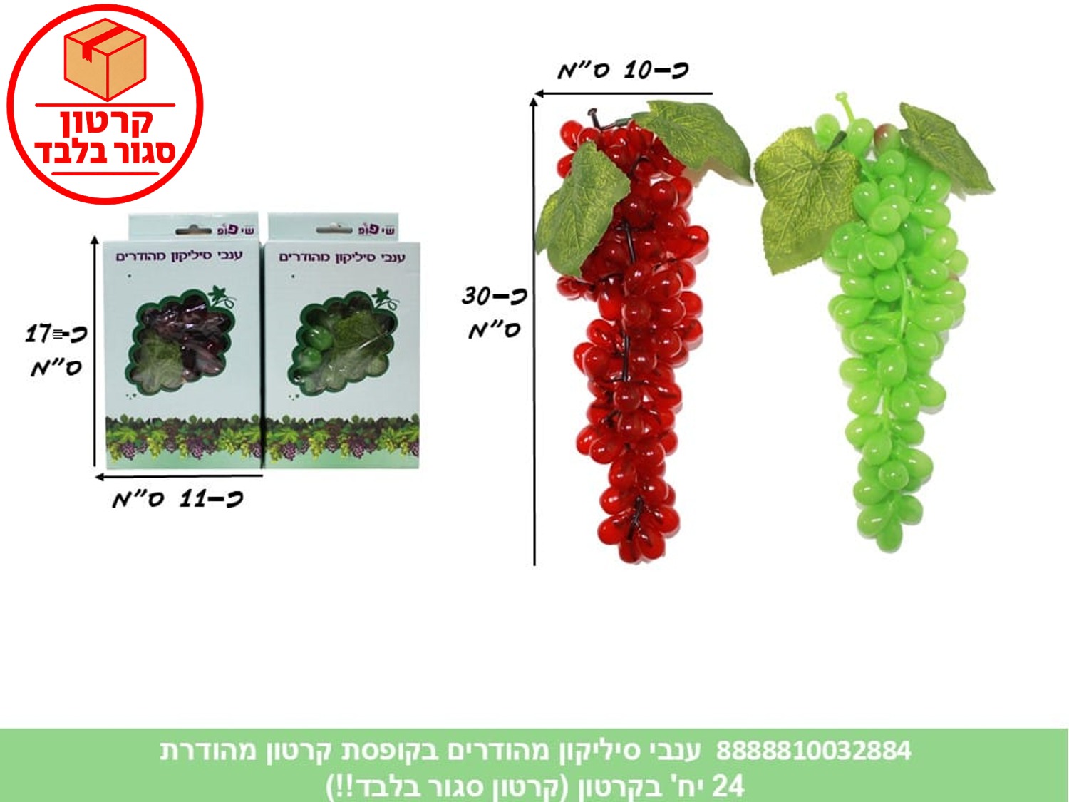 130.ענבי סיליקון מהודרים בקופסת קרטון מהודרת (24)