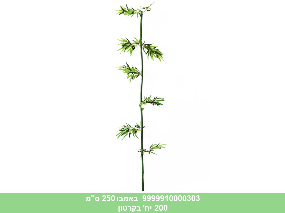 באמבו 250 ס"מ