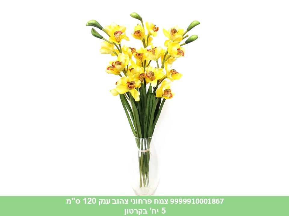 צמח פרחוני צהוב ענק 120 ס"מ (5)