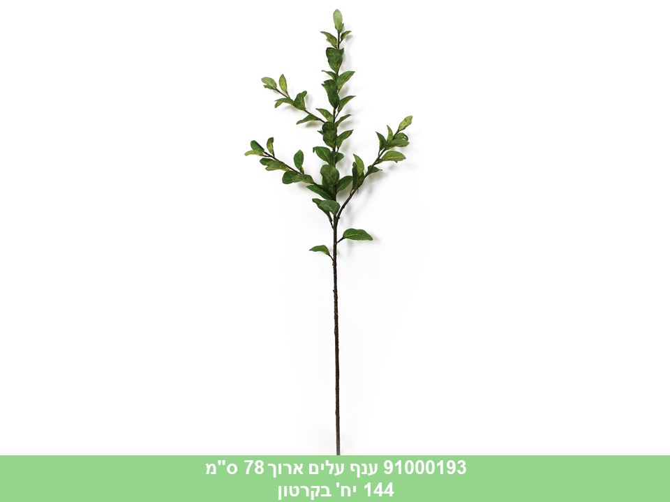 ענף עלים ארוך 78 ס"מ