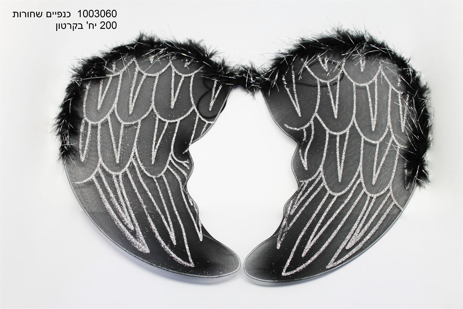 כנפיים שחורות