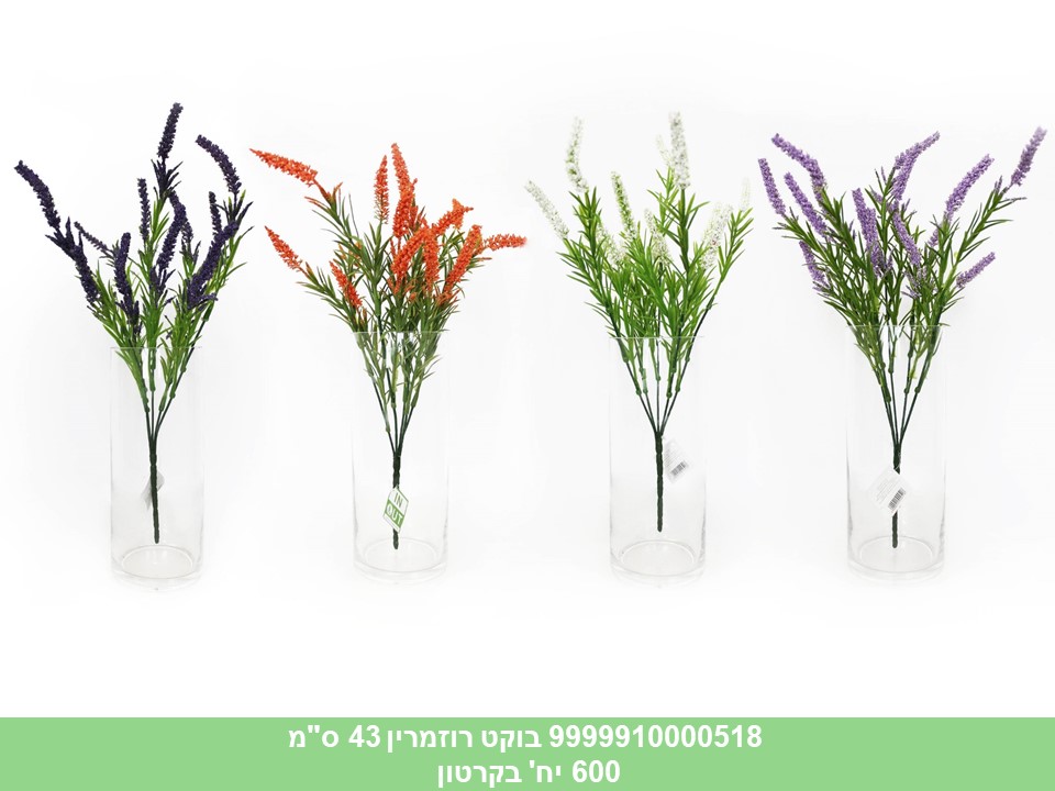 בוקט רוזמרין 43 ס"מ