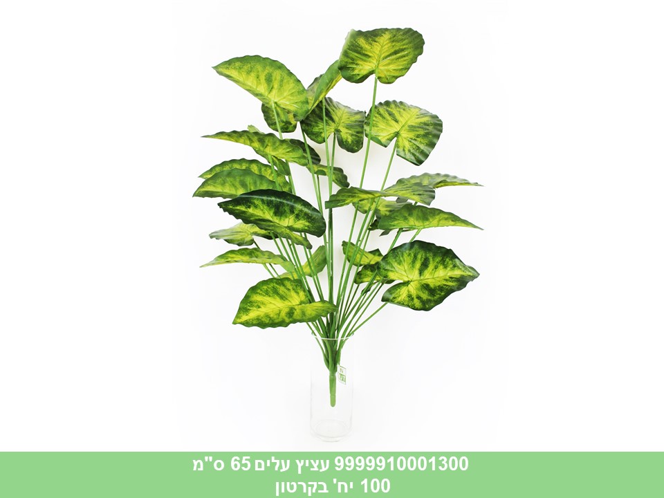 עציץ סינגוניום 65 ס"מ