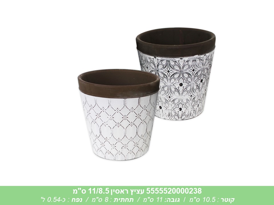 עציץ ראסין 11/8.5 ס"מ