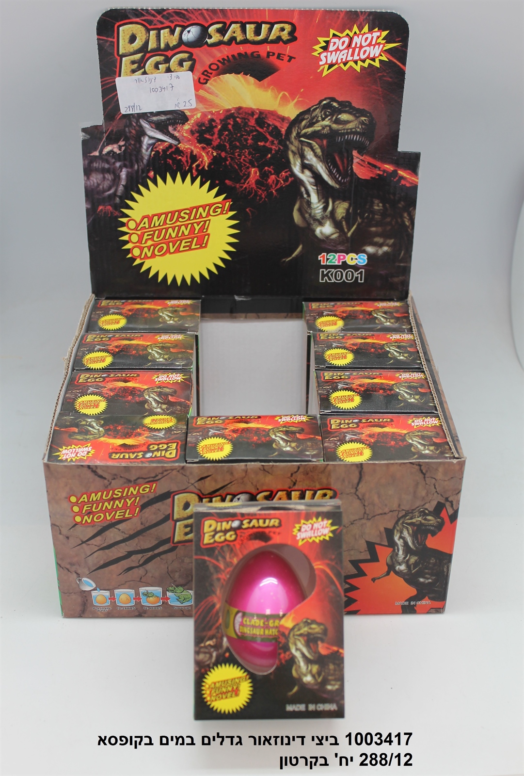 ביצי דינוזאור גדלים במים בקופסא (288/12)